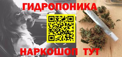 ALPHA PVP Новозыбков