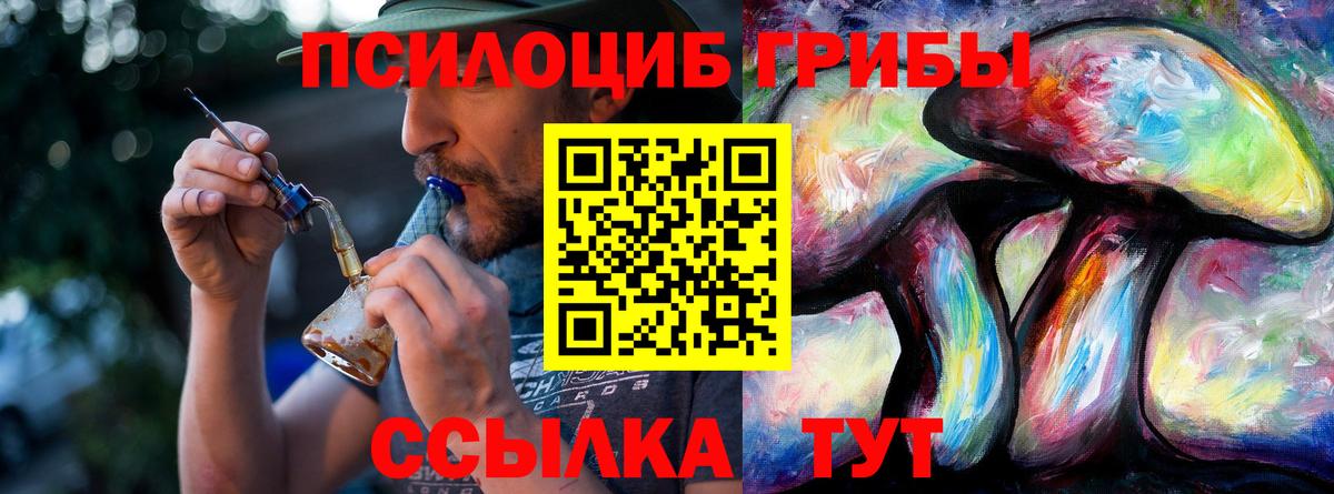 Тверь  Галлюциногенные грибы GOLDEN TEACHER  Вход с VPN  Галлюциногенные грибы Cubensis 